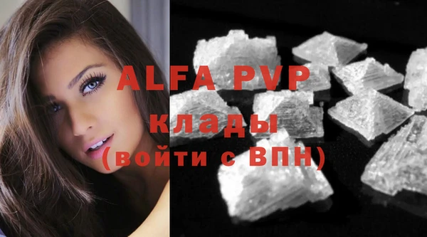 мяу мяу мука Переславль-Залесский