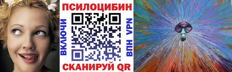 Псилоцибиновые грибы Cubensis  где купить наркоту  Рудня 