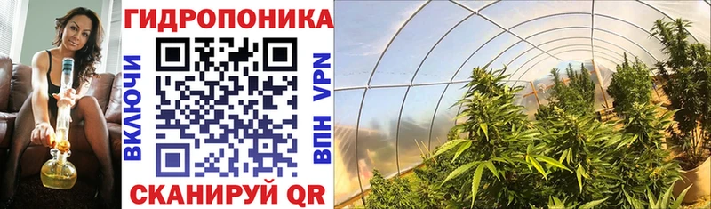 Конопля план  наркотики  shop формула  Рудня 